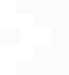 IntraLife Logo